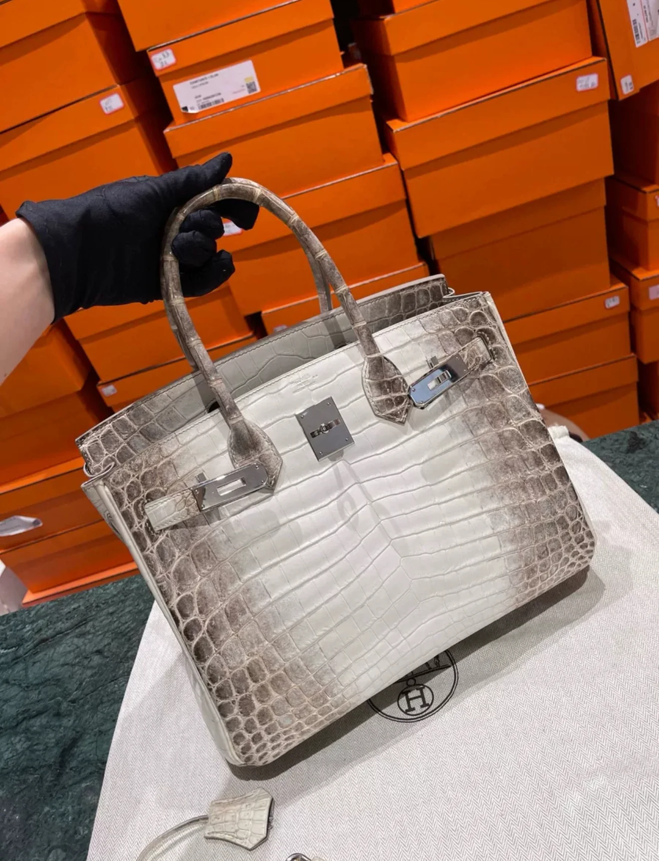 294E99F9-A98C-4BD1-A121-988E002D6ACD-1.webp HN 30 Himalaya Albino Genuine Crocodile Leather - Image 1
