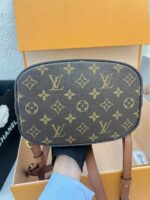 Louis Vuitton Dauphine Monogram Reverse PM backpack - Image 4