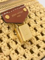 Louis Vuitton Vanity Chain Pouch in raffia - Image 5