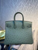 HN 30CM KHAKI OSTRICH LEATHER SILVER HARDWARE - Image 2