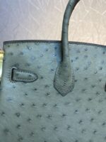 HN 30CM KHAKI OSTRICH LEATHER SILVER HARDWARE - Image 3