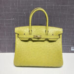 HN 30CM LIME OSTRICH LEATHER GOLD HARDWARE
