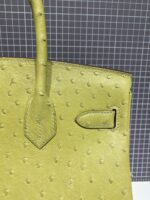 HN 30CM LIME OSTRICH LEATHER GOLD HARDWARE - Image 5