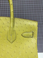 HN 30CM LIME OSTRICH LEATHER GOLD HARDWARE - Image 2