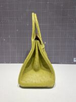 HN 30CM LIME OSTRICH LEATHER GOLD HARDWARE - Image 6