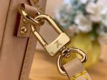 Louis Vuitton LV Petite Box Shape Lock Plated Gold Handbags 20×12.5x5cm - Image 8