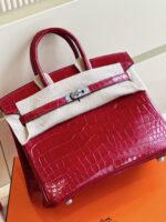 HN 25 Red Genuine Crocodile Leather Palladium Hardware - Image 7