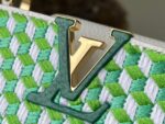 Louis Vuitton LV Capucines Green And White Pattern Handbags 21cm - Image 6