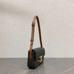 Celine Triomphe Handbag Printed Logo Super Quality Smooth Leather 20x12cm - Image 8