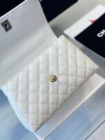 Chanel Coco Replica 11 Handbag Lizard Skin White With Lock Gold 23cm - Image 5
