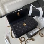 Chanel Handle Bag Lumpy Skin Handbags Black With Lock Gold 19cm - Image 2