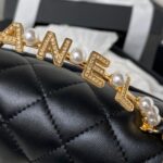 Chanel Woc Pearl Handle Plated Handbags Black Leather With Lock Gold 11.5×14.5×5.5cm - Image 4