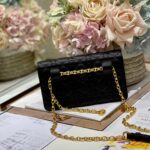 Dior Woc Women’s Black Handbag with Gold Lock 20×11.5×3.5cm - Image 4