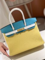 HN Lime, Bleu de Galice and Gris Perle Chèvre Tri-Color HSS 25 Brushed Gold Hardware - Image 5