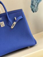 HN 30 Bleu Zelliege Epsom Palladium Hardware - Image 2