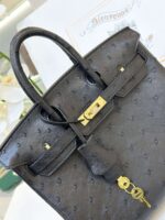HN 25 Black Ostrich Leather Gold Hardware - Image 4