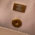 Chanel Woc Brown Handbags Pearl Handle Plated 11.5×14.5x5cm - Image 6