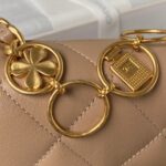 Chanel Woc Brown Handbags Pearl Handle Plated 11.5×14.5x5cm - Image 4