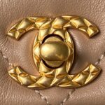 Chanel Woc Brown Handbags Pearl Handle Plated 11.5×14.5x5cm - Image 2