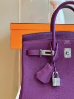 HN 25 Dark Purple Togo Leather Palladium Hardware - Image 5