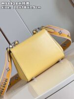 Louis Vuitton Clunny Yellow Raised Pattern 20x16cm - Image 3