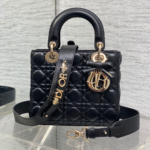 Dior Small Lady Dior My ABCDior Bag in black