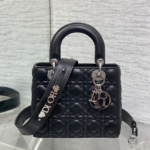DIOR LADY DIOR SMALL BLACK SLIVER HARDWARE