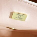 Chanel Cruise 2021 Classic Bag - Image 5