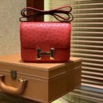 HN Rouge Vif Ostrich Constance Mini 18 gold hardware