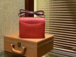 HN Rouge Vif Ostrich Constance Mini 18 gold hardware - Image 3