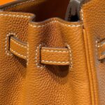 HN 25 IN BURNT ORANGE CALFSKIN GOLD HARDWARE - Image 8