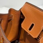 HN 25 IN BURNT ORANGE CALFSKIN GOLD HARDWARE - Image 6