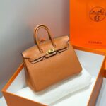 HN 25 IN BURNT ORANGE CALFSKIN GOLD HARDWARE
