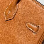HN 25 IN BURNT ORANGE CALFSKIN GOLD HARDWARE - Image 9