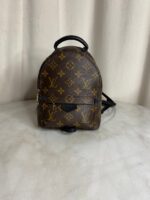 Louis Vuitton Palm Springs Mini backpack in monogram canvas