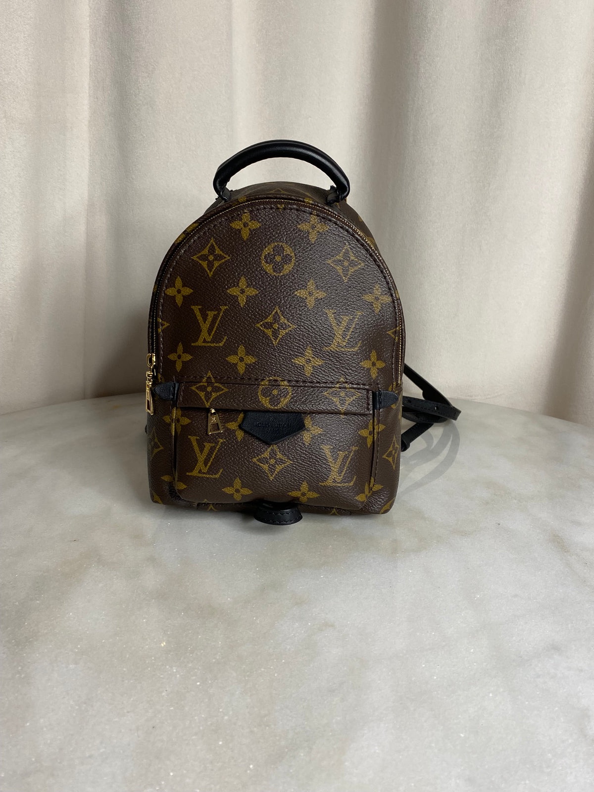 img_8584-1.jpeg Louis Vuitton Palm Springs Mini backpack in monogram canvas - Image 1