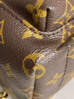 Louis Vuitton Palm Springs Mini backpack in monogram canvas - Image 6