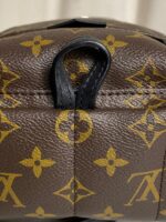 Louis Vuitton Palm Springs Mini backpack in monogram canvas - Image 4