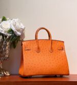 HN 25 BAG IN FIRE ORANGE OSTRICH LEATHER WITH SILVER HARDWARE - Image 2