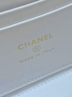 Chanel Vanity Case Small White Gold Hardware - Image 5