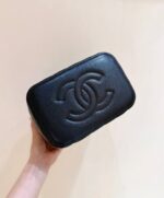 Chanel Quilted Caviar Leather Vanity Case - Image 6