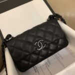 Chanel Quilted Leather My Everything Flap Bag