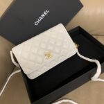 Chanel Quilted Leather Wallet On Chain White