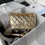 Chanel Metalic Leather Classic Quilted Flap Bag