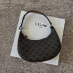 Celine Ava Bag in Triomphe Canvas and Calfskin Leather