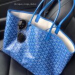 Goyard Saint Louis Tote