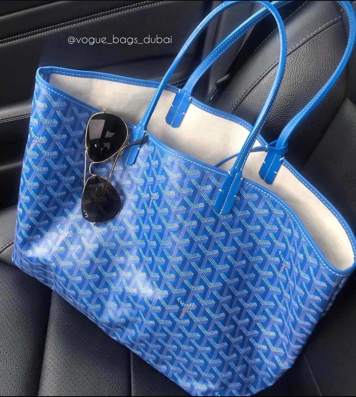 IMG_9918.jpg Goyard Saint Louis Tote - Image 1